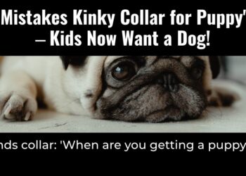 Diply | Diply