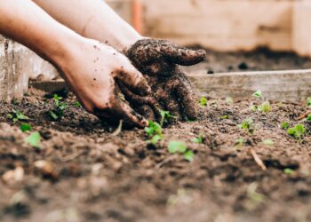 Unsplash | Sandie Clarke