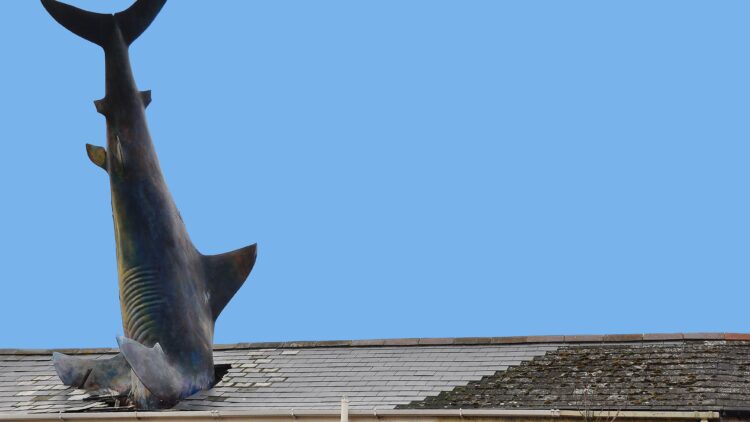 The Shark House | Magnus Hanson-Heine