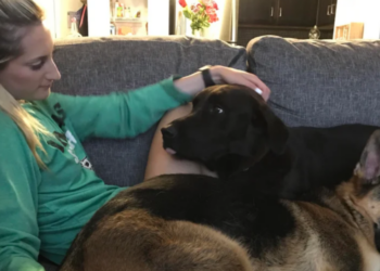 Reddit | --lex