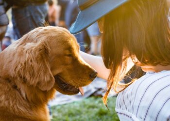 Unsplash | Unsplash