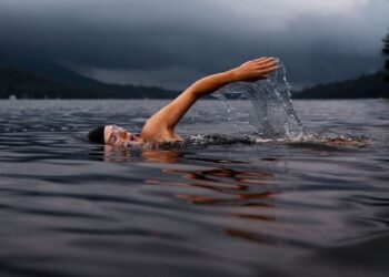 Unsplash | Todd Quackenbush