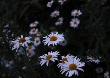 Unsplash | Unsplash