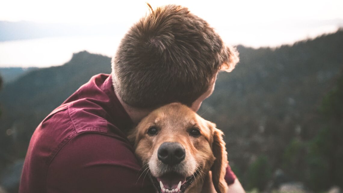 Unsplash | Eric Ward