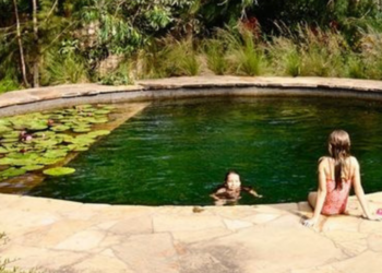 Instagram | @biotop_natural_pools
