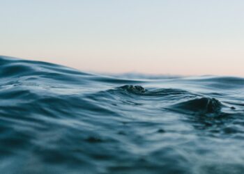 Unsplash | Matt Hardy