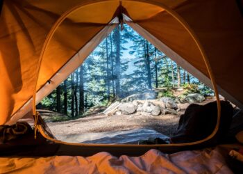 Unsplash | Scott Goodwill
