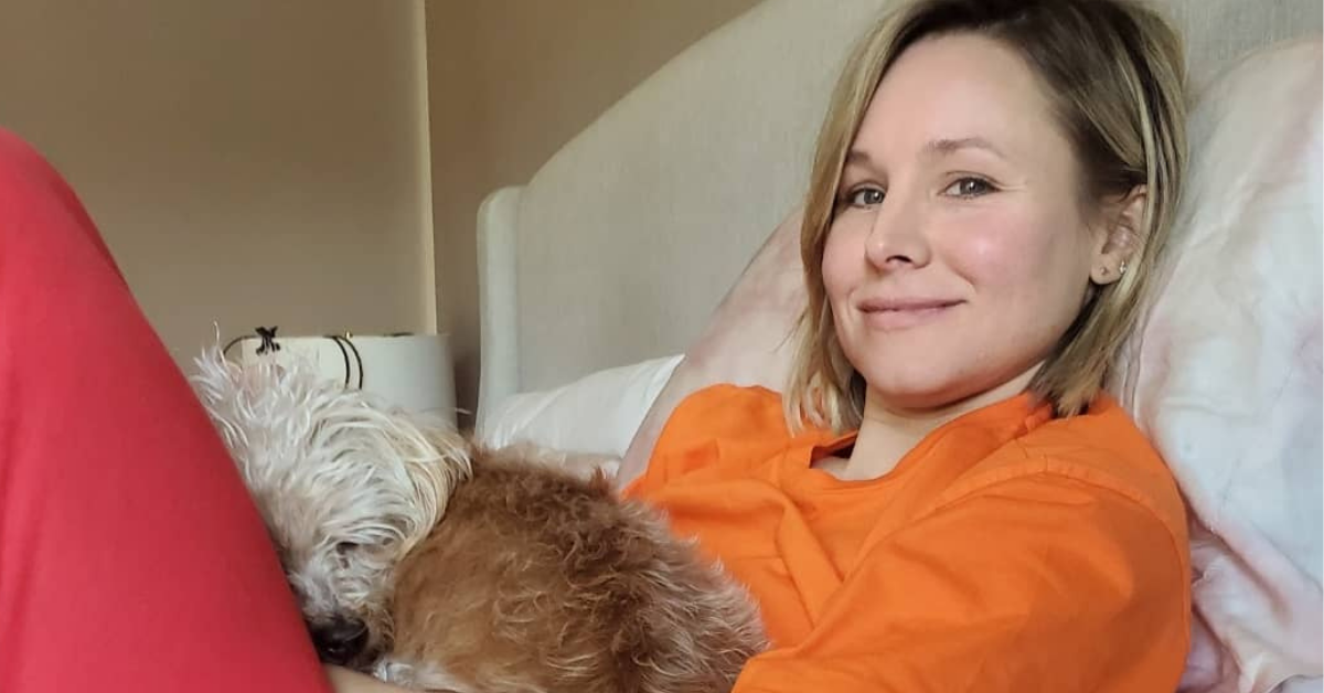Kristen Bell Adopts ThreeLegged Rescue Dog Home’ Diply