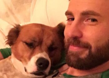Twitter | @ChrisEvans