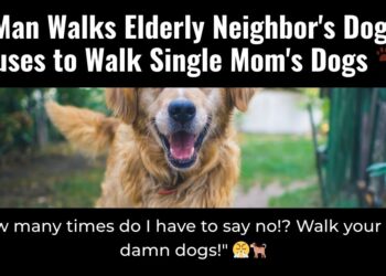 Diply | Diply