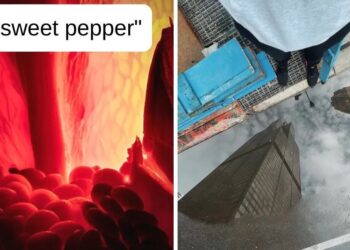 Reddit
