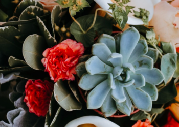 Unsplash