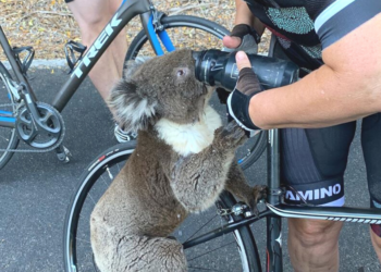 Instagram | @bikebug2019