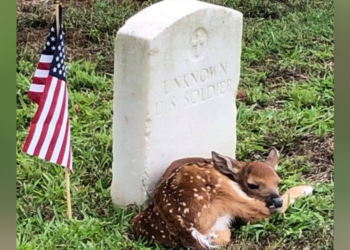 Facebook | Andersonville National Historic Site