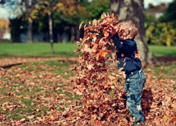 Unsplash | Unsplash