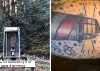 Reddit