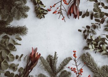 Unsplash | Unsplash