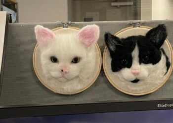 reddit | Sensual_Pudding