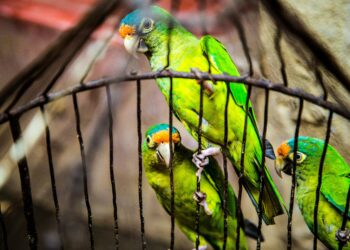 Unsplash | Unsplash