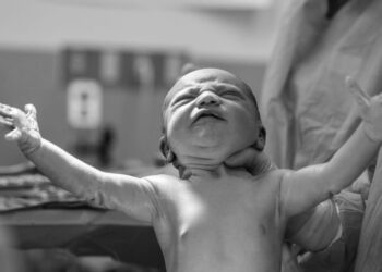 Unsplash | Alex Hockett