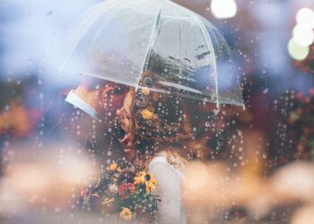 Unsplash | Unsplash