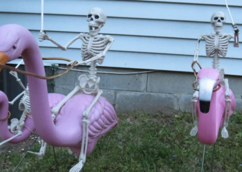 Facebook | We Love Skulls and Skeletons