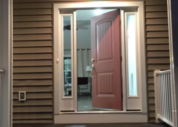 Reddit | YANFRET