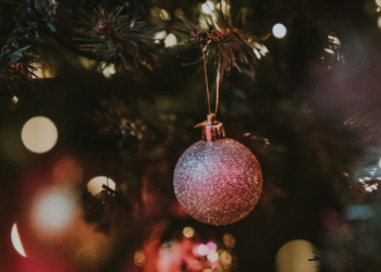 Unsplash | Annie Spratt