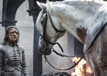 HBO