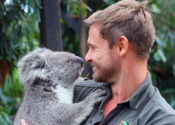 Facebook | Australian Reptile Park