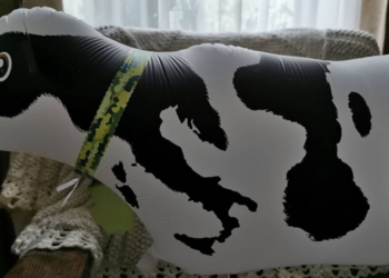 Reddit | burmalon