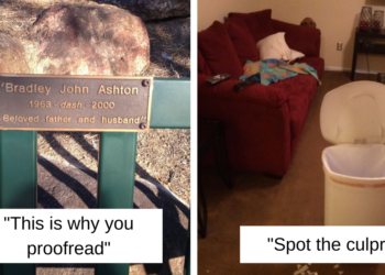 Reddit