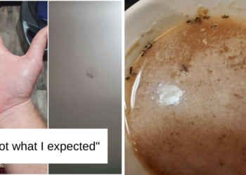 Reddit