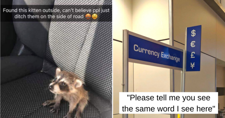 Reddit