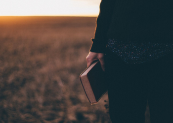 Unsplash | Priscilla Du Preez