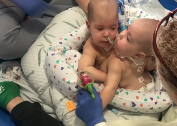 Facebook | The Children's Hospital of Philadelphia