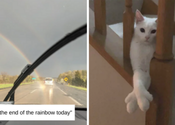Reddit