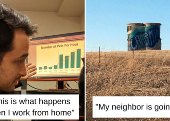 Reddit