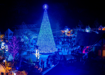 Facebook | Dollywood