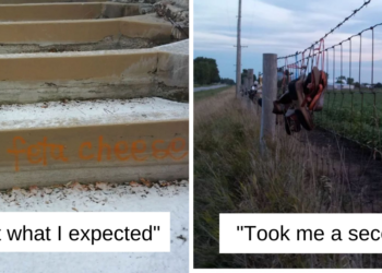 Reddit