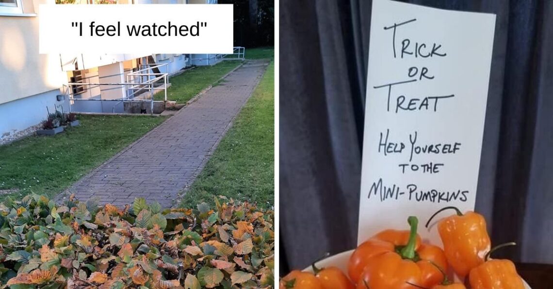 Reddit