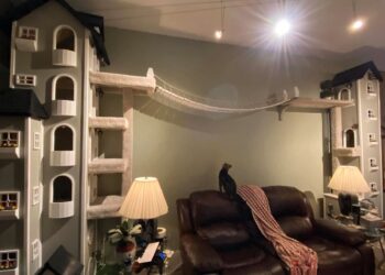 Facebook | Kitty Towers by RACoutu