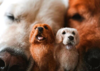Little Felted Friend