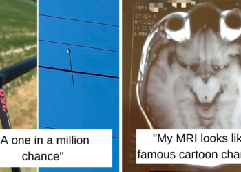 Reddit