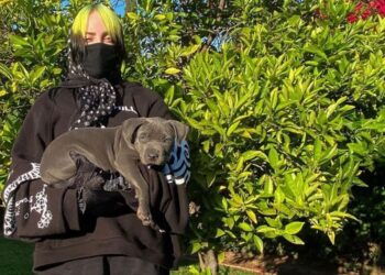 Instagram | @billieeilish