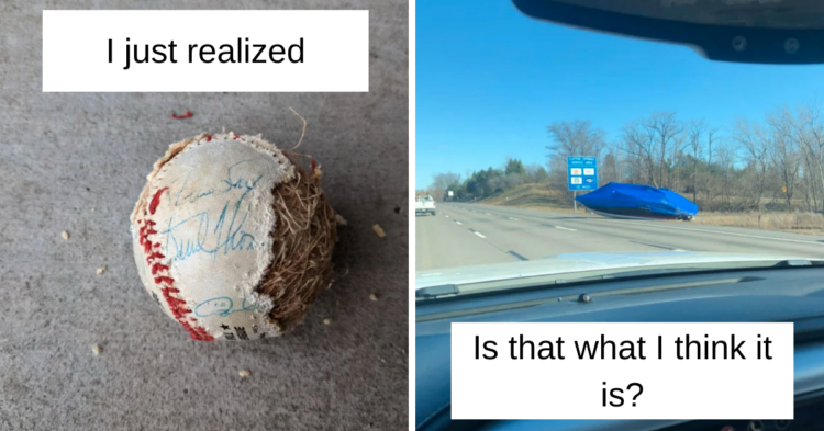 Reddit
