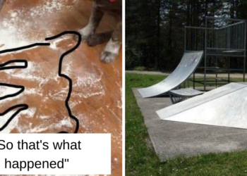 Reddit