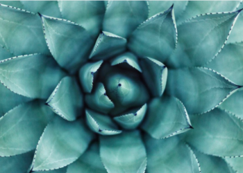 Unsplash