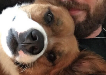 Instagram | @chrisevans