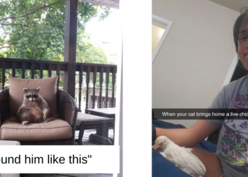 Reddit